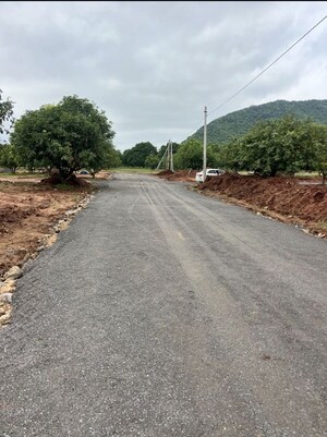 Plot Area in  Plot at Surampalli – for Sale
