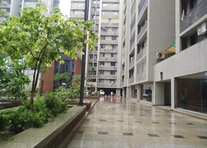 2 BHK Apartment For Rent in Goyal Orchid Blues, Shela