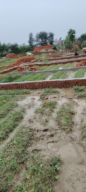 Plot Area in  Plot at Kulesara Noida – for Sale