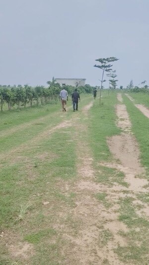 Plot Area in  Plot at Jangal Kauria – for Sale