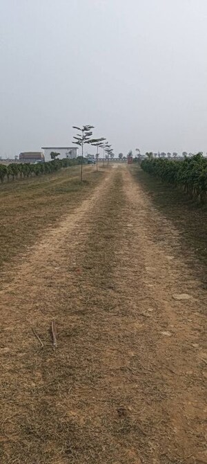 Plot Area in  Plot at Jangal Kauria – for Sale