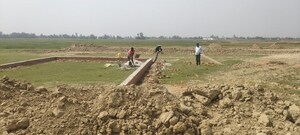 Plot Area in  Plot at Jangal Kauria – for Sale