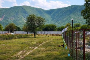  Plot For Sale in Van Vihar