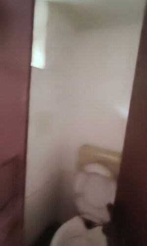 Room in 2 BHK Apartment at Green View Apartment, Vasundhara Sector 17 – for Sale
