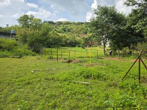  Land For Rent in Varve Khurd