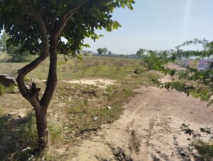 Plot Area in  Land at Raal Road – for Sale