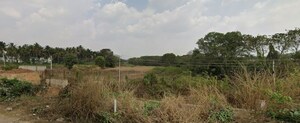  Land For Sale in Nelamangala