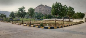  Plot For Sale in DDL Global City, Vitaipalli