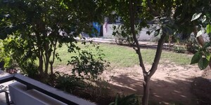 2 BHK Builder Floor – Garden View at Sector 51 - for Rent