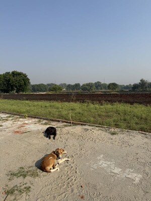  Plot – Garden View at Yamuna Expressway - for Sale