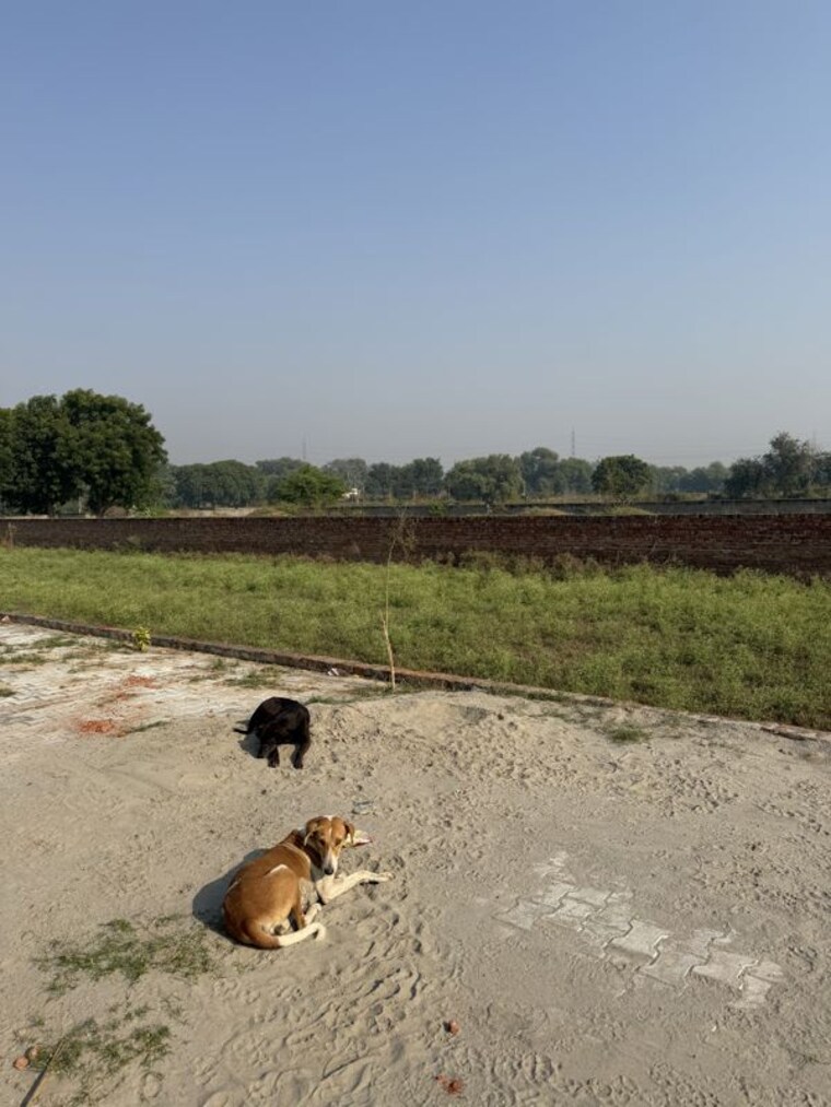 Garden, yamuna expressway  100 Sq.Yd. Plot In Yamuna Expressway Greater Noida 10768541