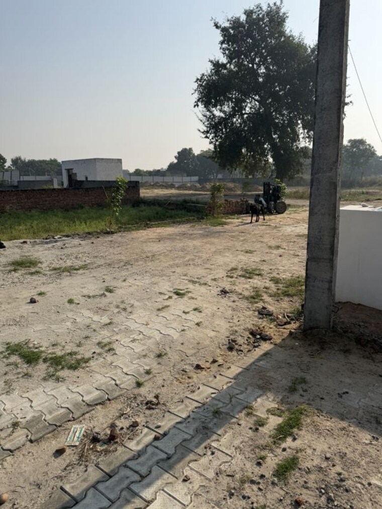 undefined, yamuna expressway  100 Sq.Yd. Plot In Yamuna Expressway Greater Noida 10768541