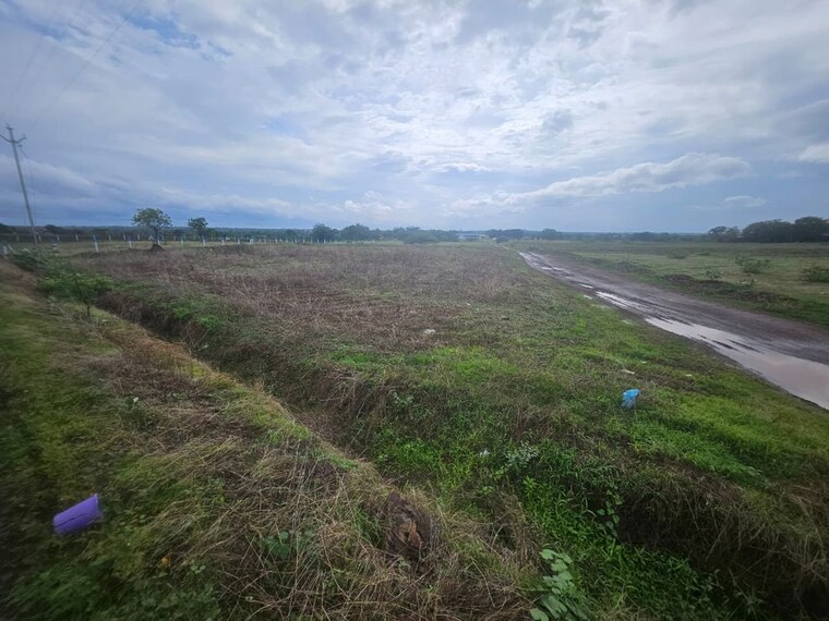 undefined, baramati  8000 Sq.Ft. Plot In Baramati Pune 10706791