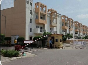 3 BHK Builder Floor For Rent in BPTP Park Elite Floors, Sector 85