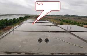  Plot For Sale in Dholera