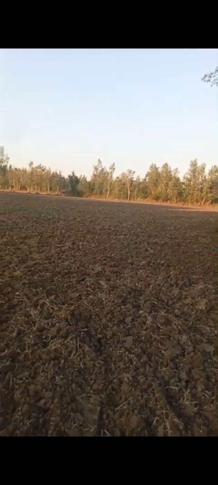 undefined, didauli Commercial Land 15 Acre In Didauli Amroha 10768855