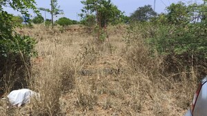  Plot For Sale in Rajiv Nagar