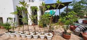Balcony in 3 BHK Apartment at Safdarjung Enclave – for Sale