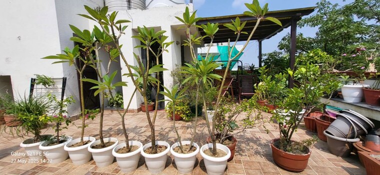 Balcony, safdarjung enclave 3 Bedroom 1850 Sq.Ft. Apartment In Safdarjung Enclave Delhi 10769044