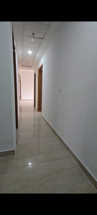 3 BHK +Apartment For Rent in SDS NRI Residency in Sector 45, Noida