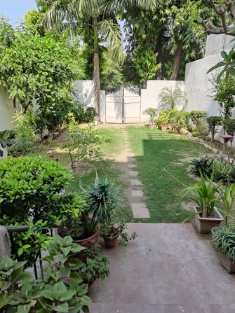3 BHK +Independent House For Rent in Arun Vihar Sector 37 in Sector 37, Noida