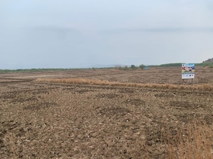 Plot Area in  Plot at Uran – for Sale