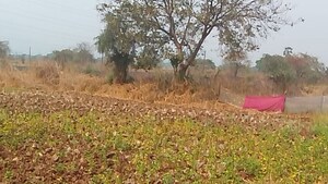 Plot Area in  Plot at Uran – for Sale