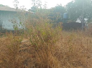 Plot Area in  Plot at Uran – for Sale