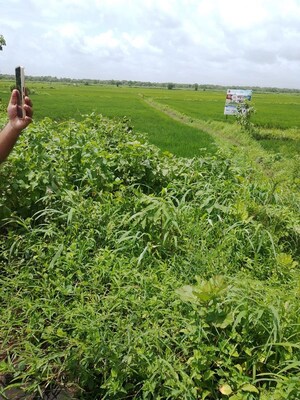  Plot – Garden View at Uran - for Sale