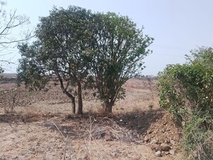 Plot Area in  Plot at Uran – for Sale