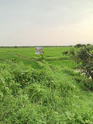  Plot – Garden View at Uran - for Sale