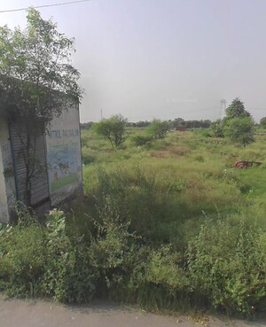 Plot Area in  Plot at Mitrol – for Sale