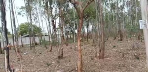  Land For Sale in Nelamangala