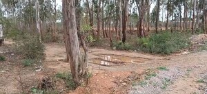 Plot Area in  Land at Nelamangala – for Sale