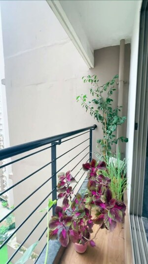 Balcony in 2.5 BHK Apartment at Runwal Eirene, Balkum Pada – for Rent