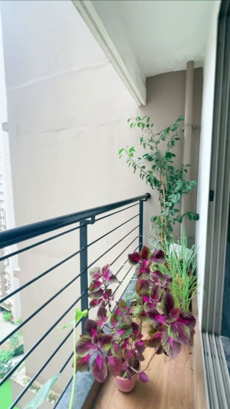 Balcony, runwal-eirene 2.5 Bedroom 920 Sq.Ft. Apartment In Balkum Pada Thane 10769321