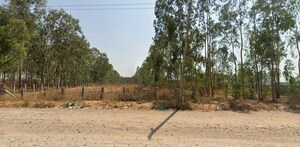  Land For Sale in Nelamangala