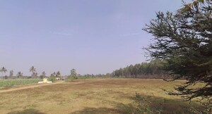  Land For Sale in Anekal