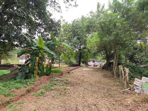  Plot For Sale in Chiyyaram