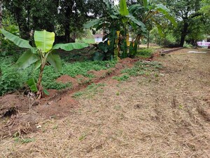 Plot Area in  Plot at Chiyyaram – for Sale