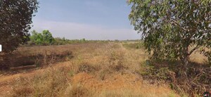 Land For Sale in North Bangalore