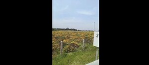 Land For Sale in Lakkur