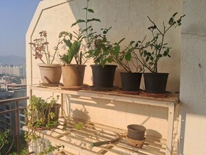 2 BHK Apartment – Exterior View View at Nyati Eternity, Mohammadwadi - for Rent