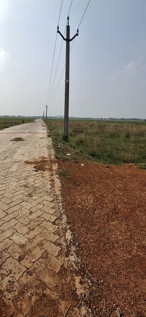 Plot Area in  Plot at Pahal – for Sale