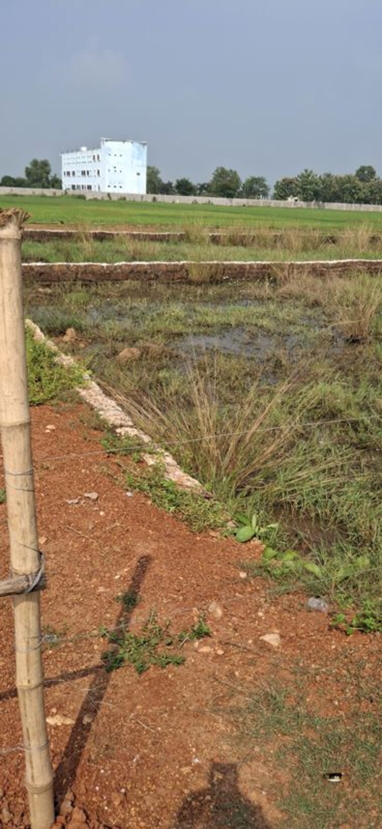 Garden, pahal  2000 Sq.Ft. Plot In Pahal Bhubaneswar 10770173