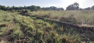Plot Area in  Plot at Pahal – for Sale