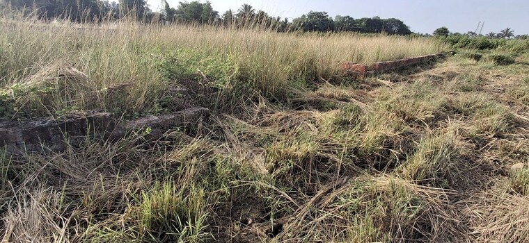 undefined, pahal  2000 Sq.Ft. Plot In Pahal Bhubaneswar 10770173