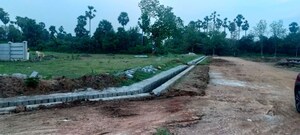 Plot Area in  Plot at Natavalasa – for Sale