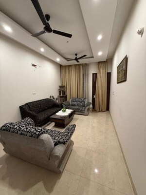 Living Room in 3 BHK Builder Floor at Sector 21 – for Rent