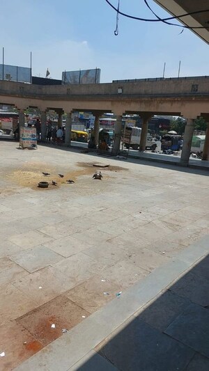  Shop – Entrance View at Vasna - for Rent